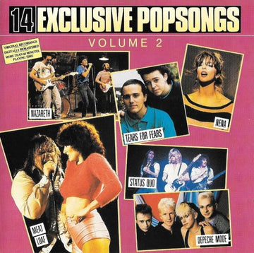 Various : 14 Exclusive Popsongs Vol. 2 (CD, Comp)