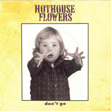 Hothouse Flowers : Don't Go (7", Single)