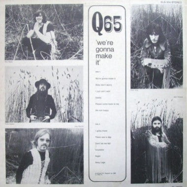 Q65 : We're Gonna Make It (LP, Album)