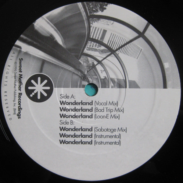 3X Infinity : Wonderland (12")