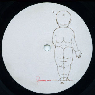 Wishmountain / Radio Boy : Wishmountain Is Dead, Long Live Radio Boy (2x12", Album)