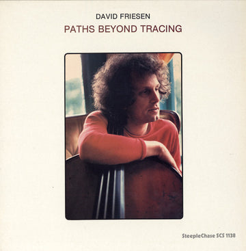 David Friesen : Paths Beyond Tracing (LP, Album)