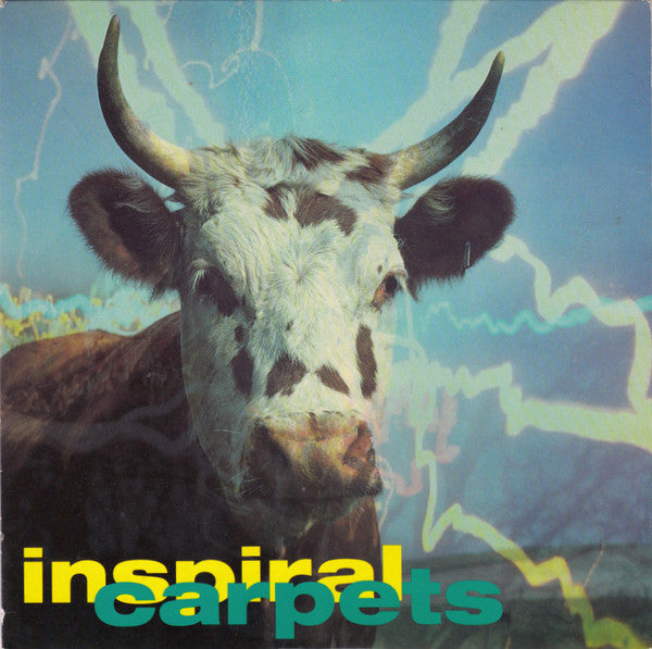 Inspiral Carpets : She Comes In The Fall (7", Single)