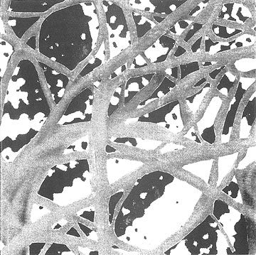 Pig Exam : Contort Thine Cells (CD)