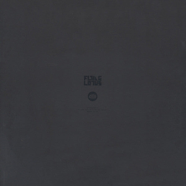 Flying Lotus : You're Dead! (2xLP, Album, 180 + 2xLP, 180 + Box, Ltd)