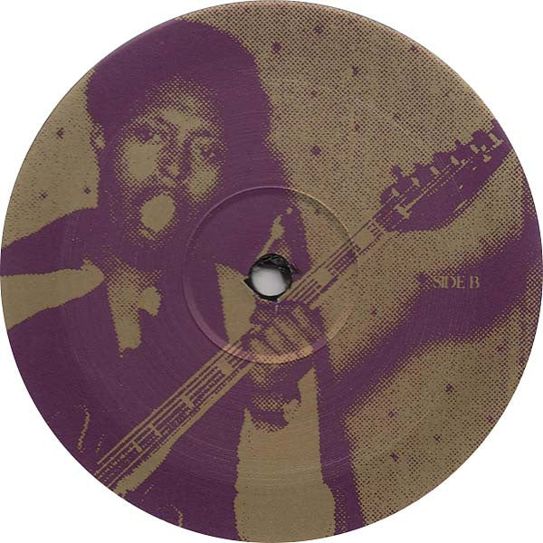 Various : Doing The James Brown - In The Footsteps Of The Godfather Of Funk (2xLP, Comp)