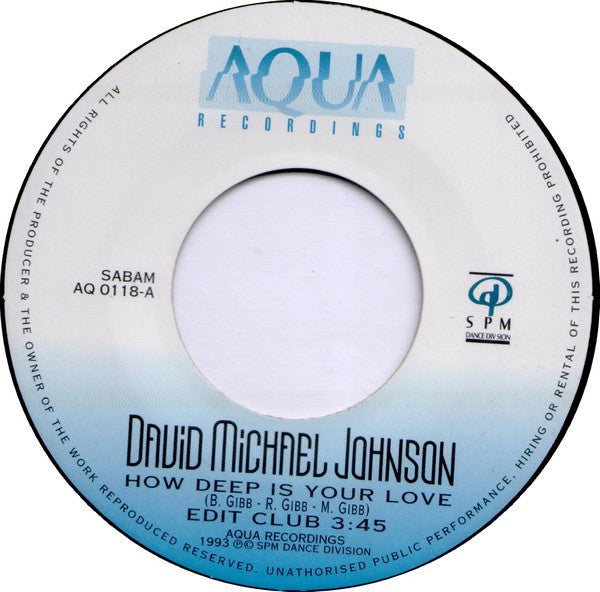 David Michael Johnson : How Deep Is Your Love (7")