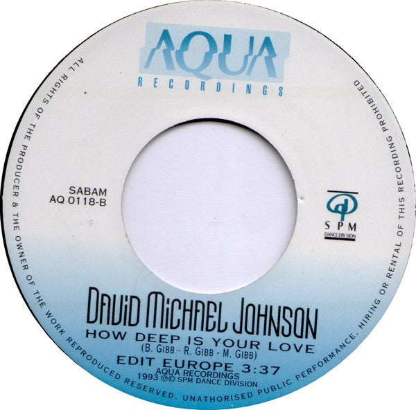 David Michael Johnson : How Deep Is Your Love (7")