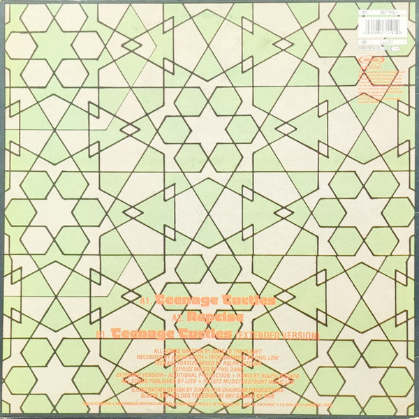 Back To The Planet : Teenage Turtles (12", Single, Ora)