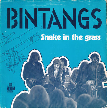 Bintangs : Snake In The Grass (7", Single)