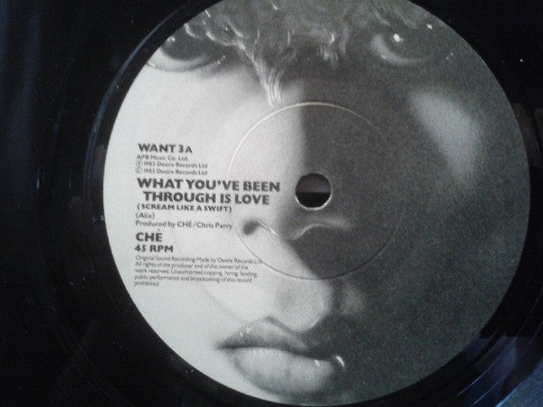 Che (3) : What You've Been Through Is Love (7", Single)