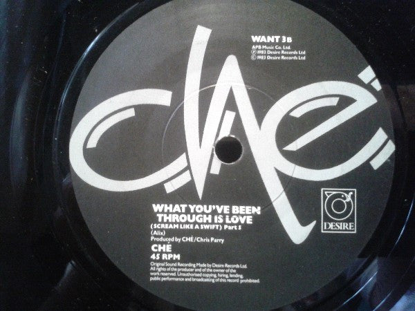 Che (3) : What You've Been Through Is Love (7", Single)