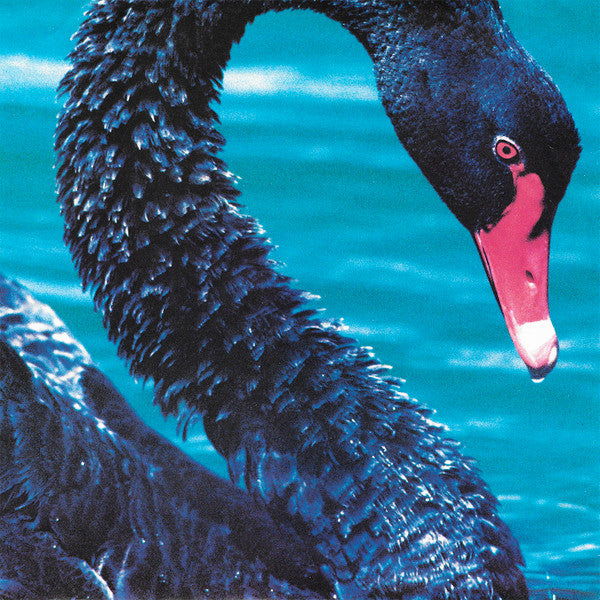 The Triffids : The Triffids Present The Black Swan (LP, Album)
