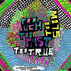 Various : Too Much Too Fast Too True Too Slow (CD, Comp)