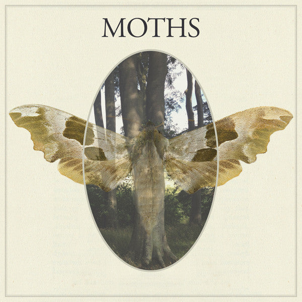 Moths (4) : Moths (LP, Album, RE, RM)