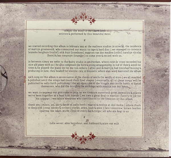 This Beautiful Mess : Temper The Wind To The Shorn Lamb (CD, Album)