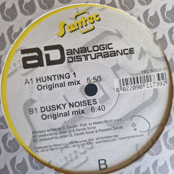 Analogic Disturbance : Hunting 2 / Dusky Noises (12")