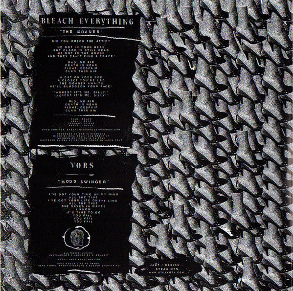 Bleach Everything / VORS : Split 7" (7")