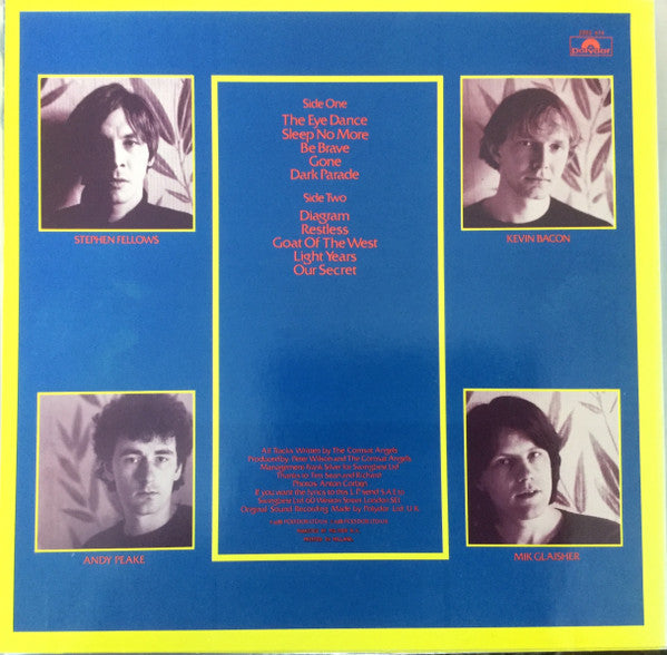The Comsat Angels : Sleep No More (LP, Album)