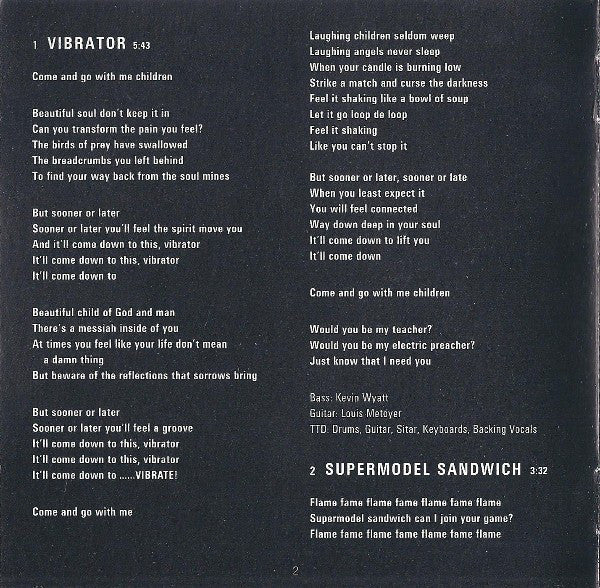 Terence Trent D'Arby : Terence Trent D'Arby's Vibrator* (CD, Album)