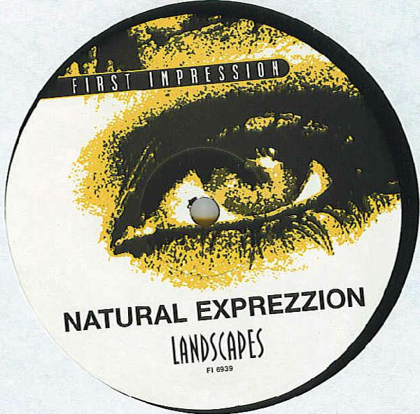 Natural Exprezzion : Landscapes (12")