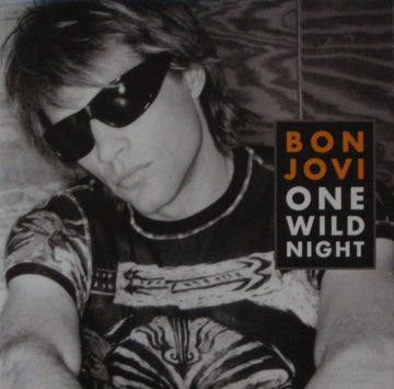 Bon Jovi : One Wild Night (CD, Single, Enh)