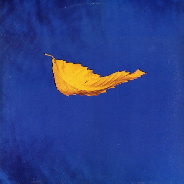 New Order : True Faith (12", SRC)