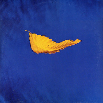 New Order : True Faith (12", SRC)