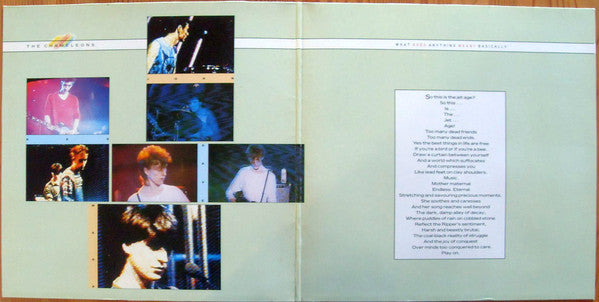 The Chameleons : What Does Anything Mean?  Basically (LP, Album, Gat)
