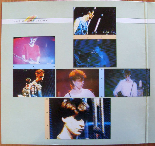 The Chameleons : What Does Anything Mean?  Basically (LP, Album, Gat)
