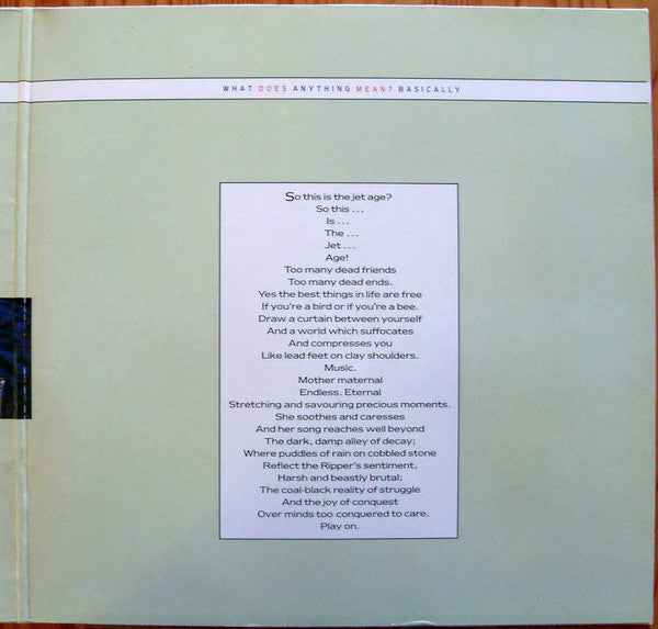 The Chameleons : What Does Anything Mean?  Basically (LP, Album, Gat)