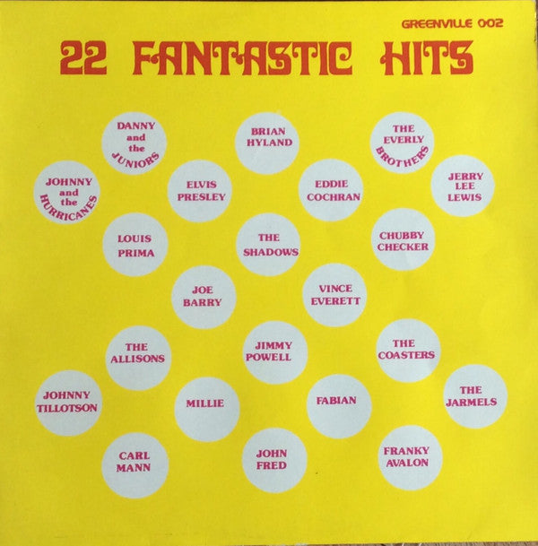 Various : 22 Fantastic Hits - The Rock'n Roll Revival Show  (LP, Comp)