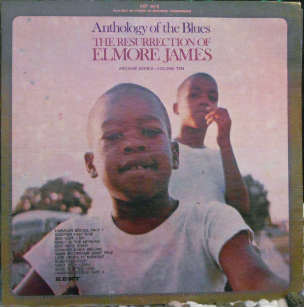 Elmore James : The Resurrection Of Elmore James (LP, Comp, RE)
