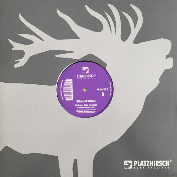 Gabriel Ananda : Miracel Whop (12")