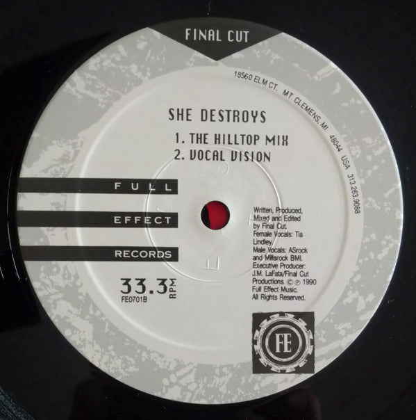 Final Cut : I Told You Not To Stop (12")