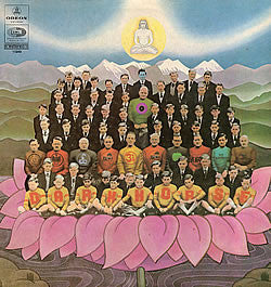 George Harrison : Dark Horse (LP, Album)