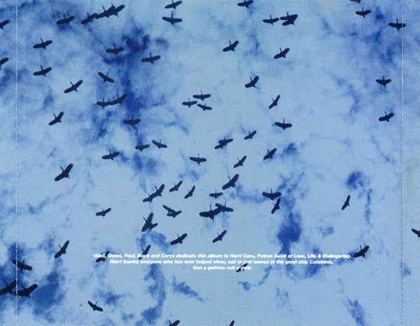 Catatonia : Way Beyond Blue (CD, Album)