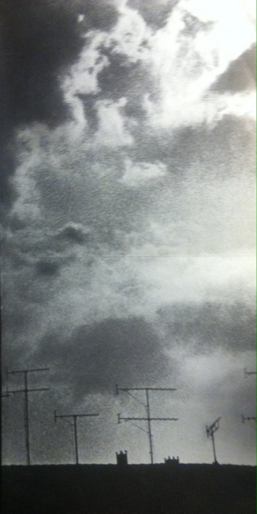 Inushini : Untitled (12")