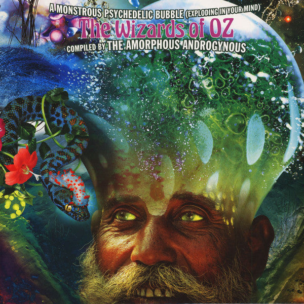 The Amorphous Androgynous* : A Monstrous Psychedelic Bubble Exploding In Your Mind - The Wizards Of Oz (2xLP, RSD, Comp, Gat)