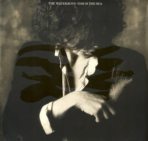 The Waterboys : This Is The Sea (LP, Album)