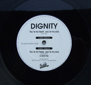 Dignity (7) : You're My Heart, You're My Soul (12", Promo)