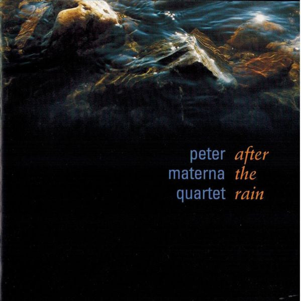 Peter Materna Quartet : After The Rain (CD, Album)