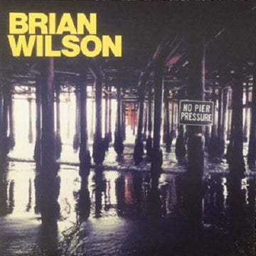 Brian Wilson : No Pier Pressure (2xLP, Album)