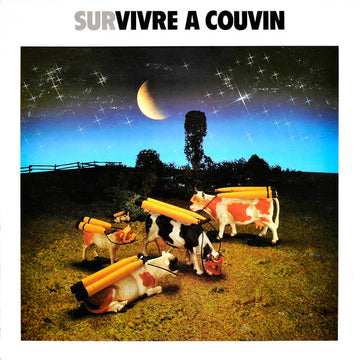 Various : Survivre A Couvin (LP, Comp)