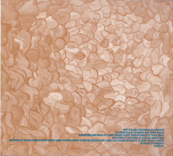 Gengahr : A Dream Outside (CD, Album)