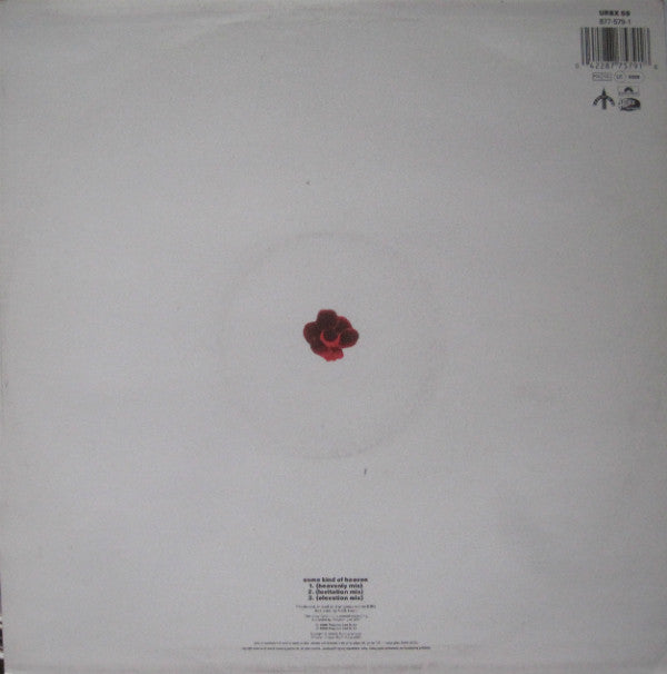 BBG : Some Kind Of Heaven (12")