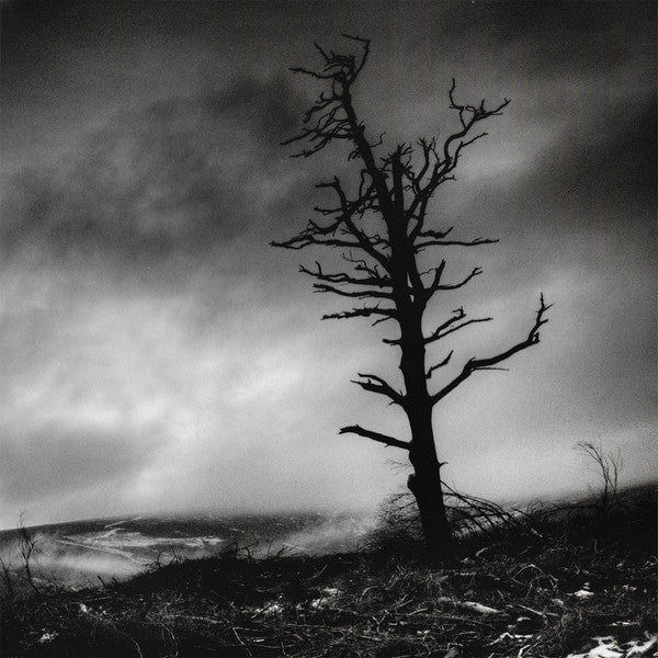 Crippled Black Phoenix : I, Vigilante (12" + 12", S/Sided, Etch + Album, EP, RE, RM)