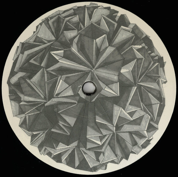 Perm (2) : Shtum 008 (12")