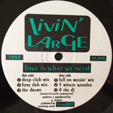 Livin' Large : Love Is What We Need (12")