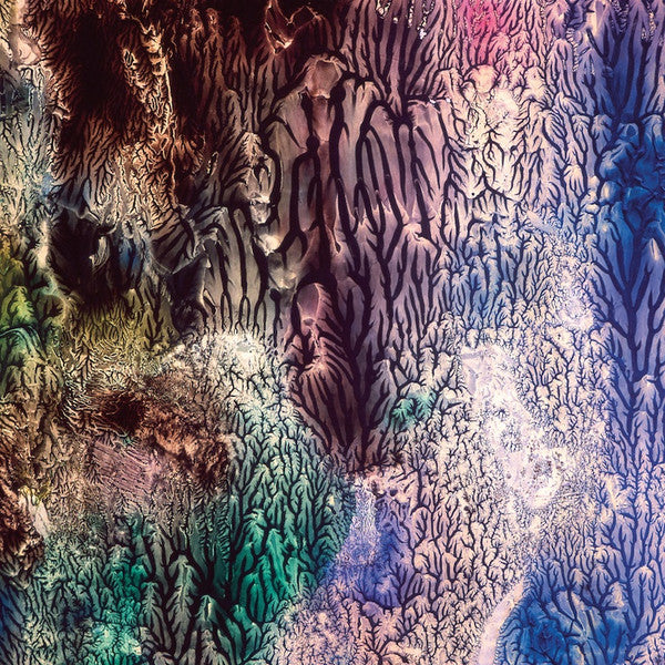 The Womb (3) : The Womb (LP, Album)